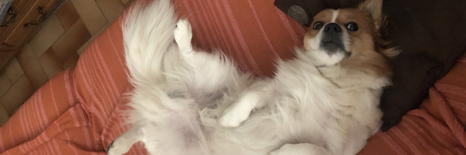 mariallanic's profile banner image