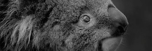 audrey_yop's profile banner image