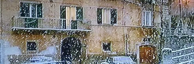 carlo baldassarre banner
