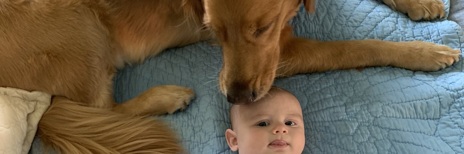 laurafurr's profile banner image