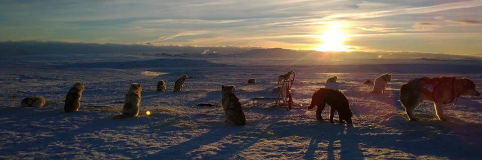 R_A_Rae's profile banner image