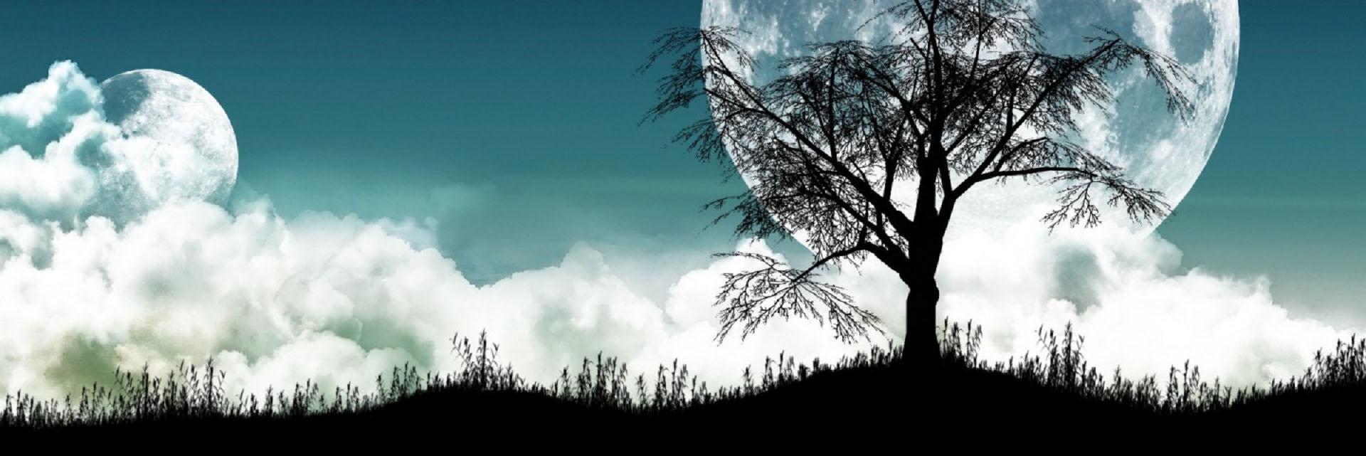 NEMX19's profile banner image