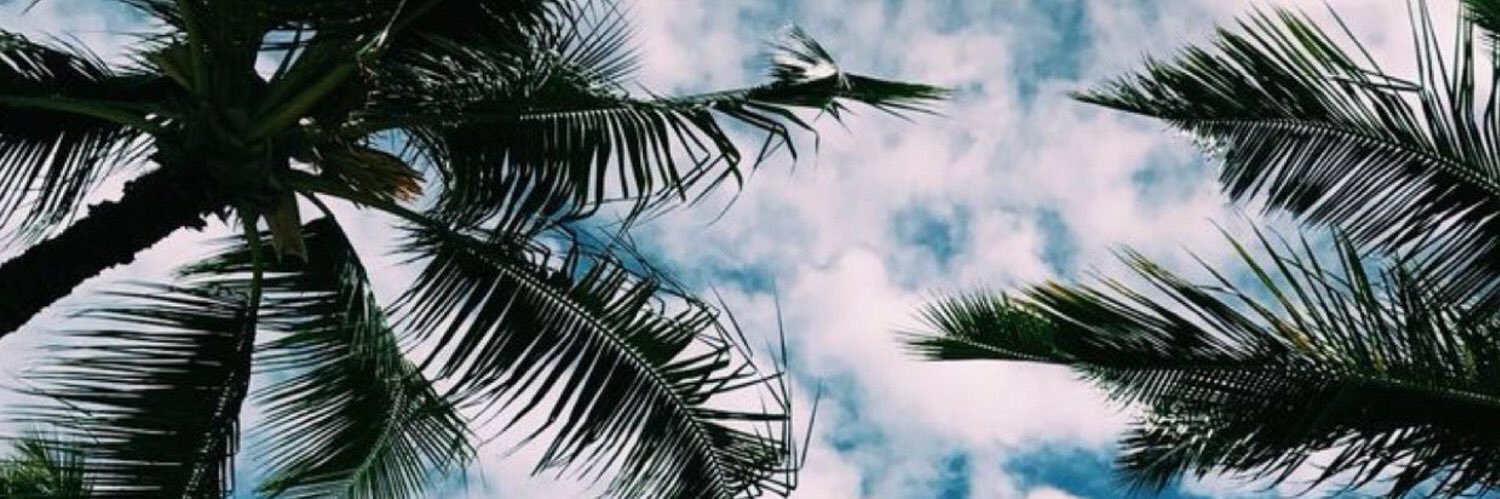 Ranaoraaby's profile banner image