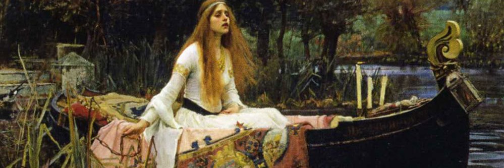 luciedecarvalh1's profile banner image