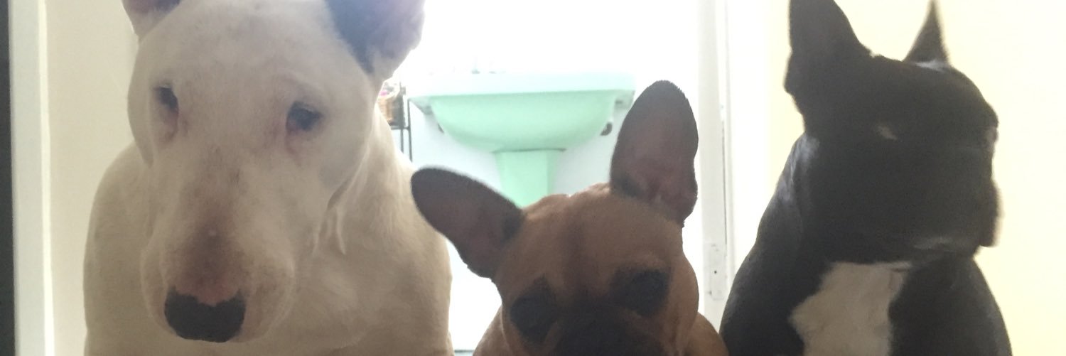JoshyEdz's profile banner image