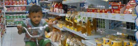 DengkulNyamuk banner