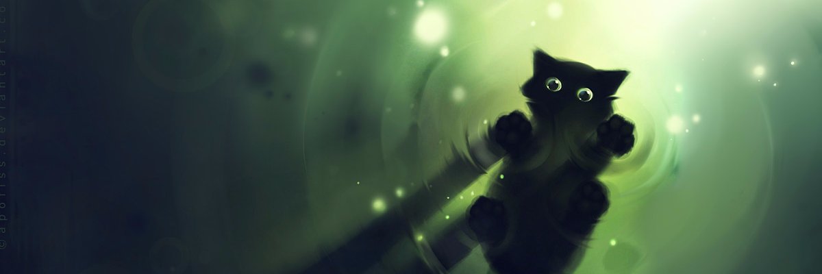 cla_maine's profile banner image
