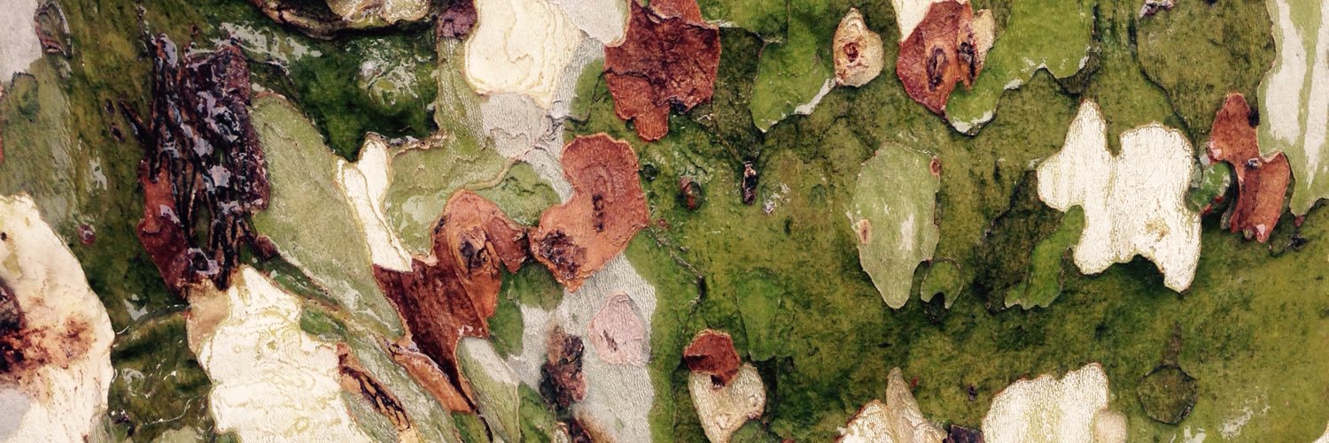 herve_ruet's profile banner image