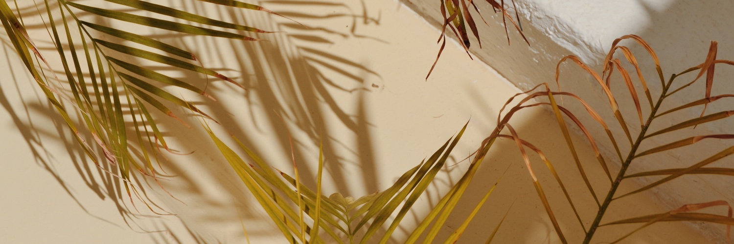 emmadums's profile banner image