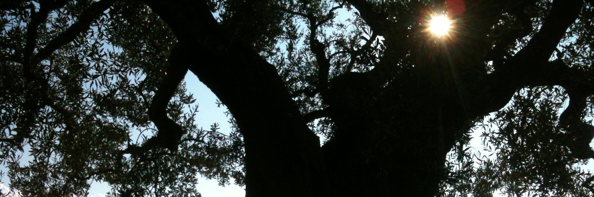 fra_amatulli's profile banner image