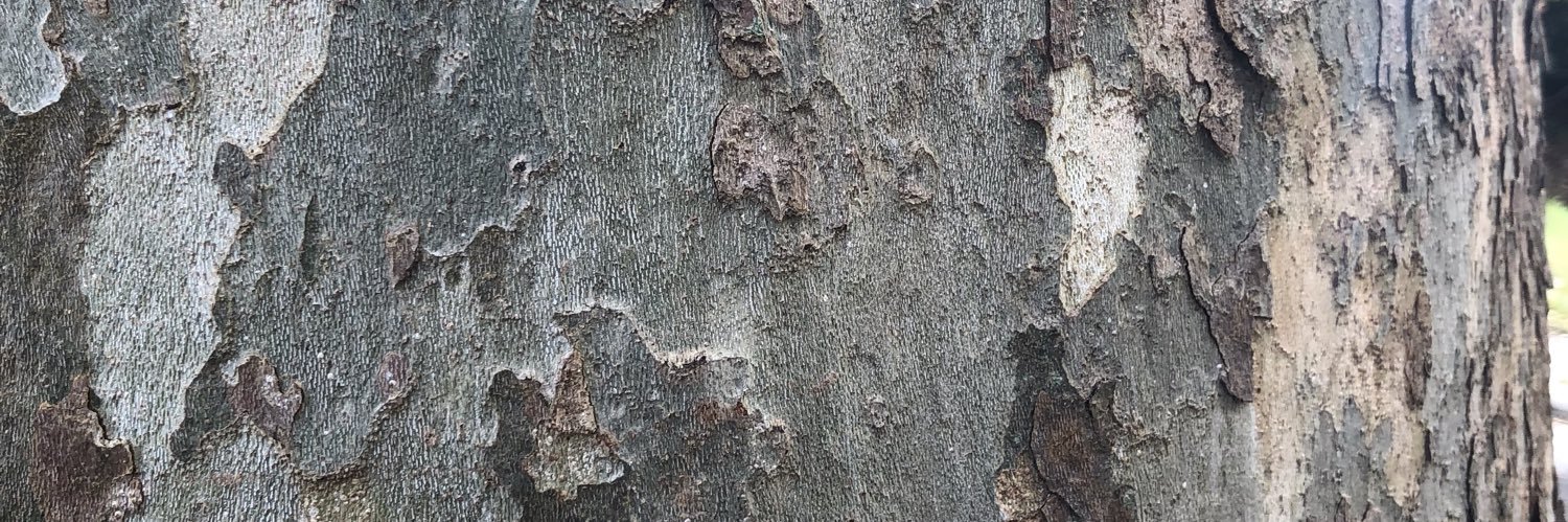 Robmeredith440's profile banner image