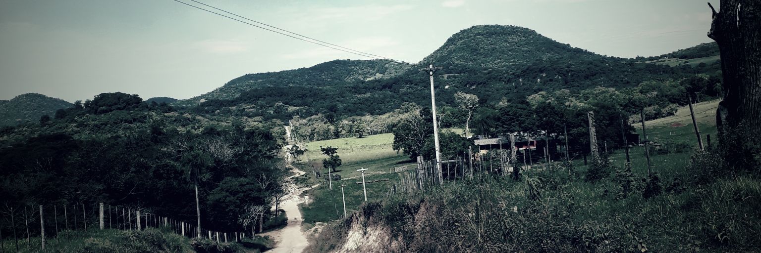 brauportillo's profile banner image