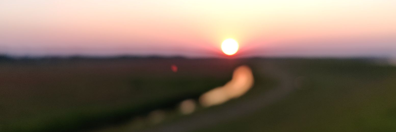 daanvdsluis's profile banner image