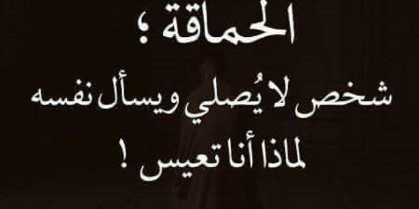 منى مينو banner