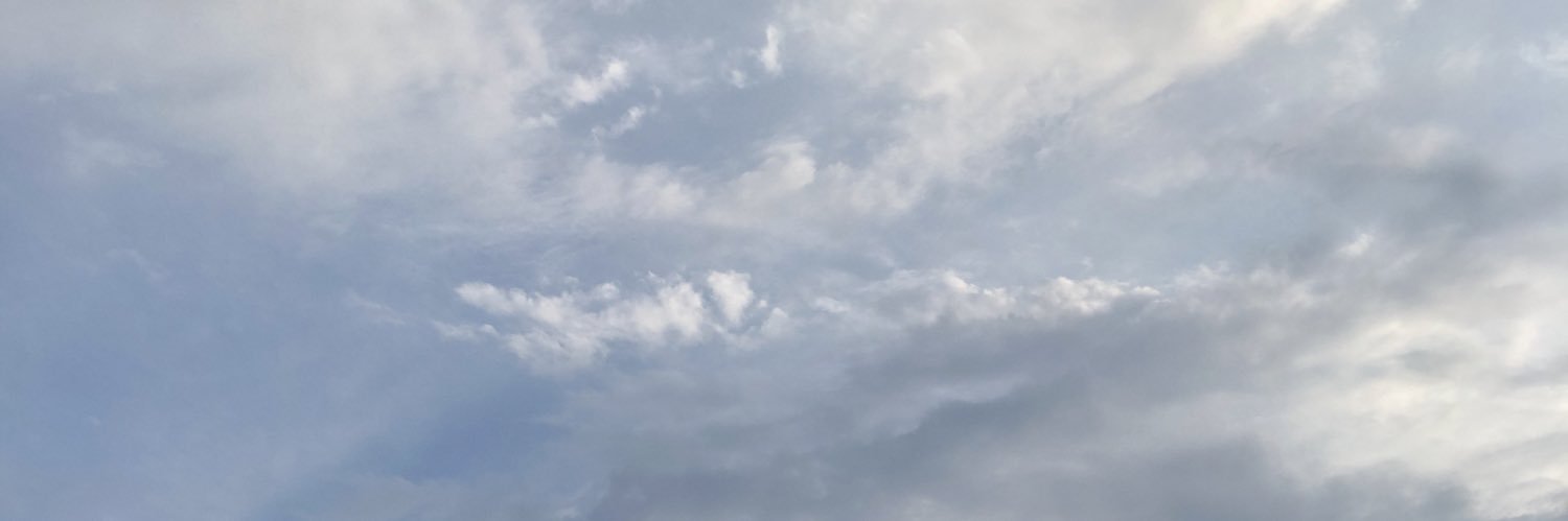 RLesite's profile banner image