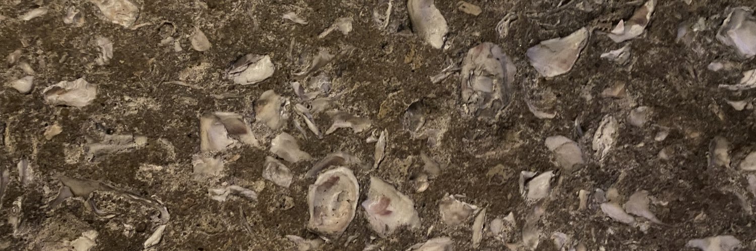 Clark Mindock banner