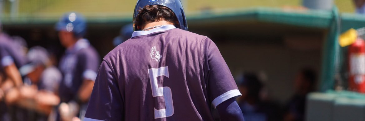 Landon Lowe banner