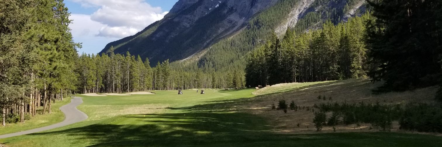 AdamFehr83's profile banner image