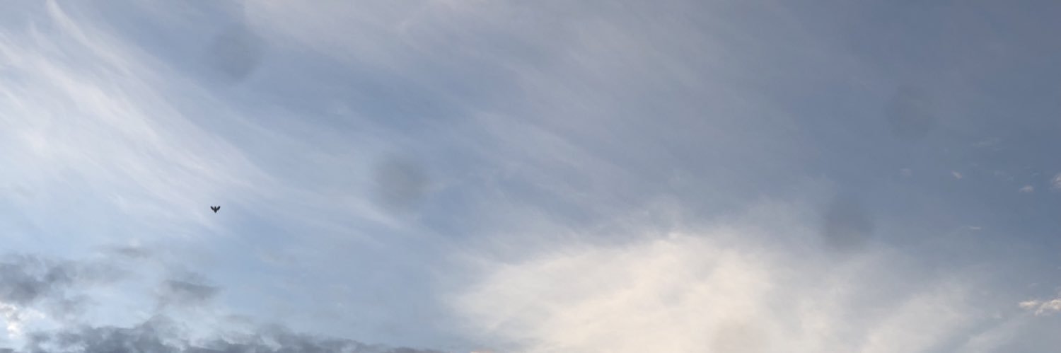 julie_eid's profile banner image