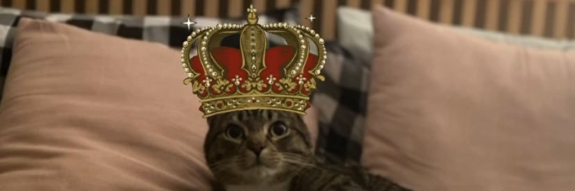 carlums's profile banner image