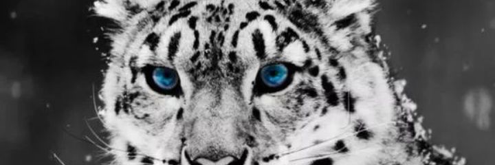 _sarah_36's profile banner image