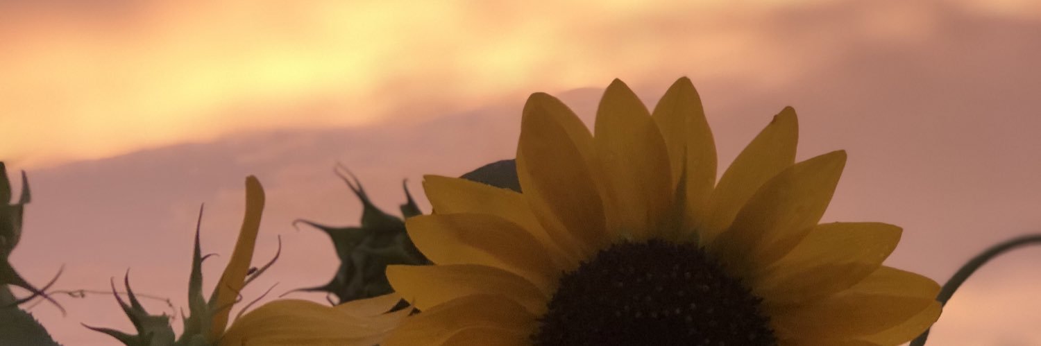 harperlee07's profile banner image