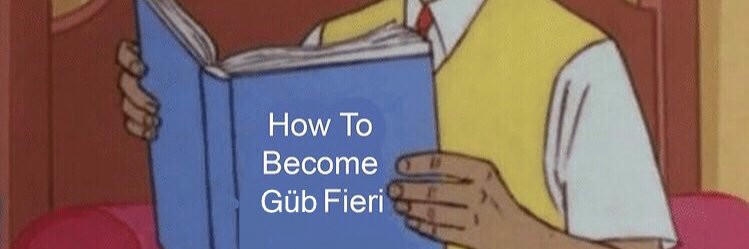 GubFieri's profile banner image
