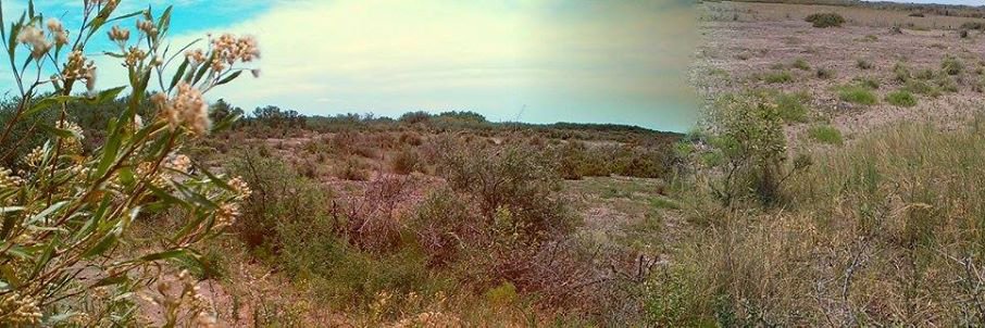 Nicolás Samprón banner