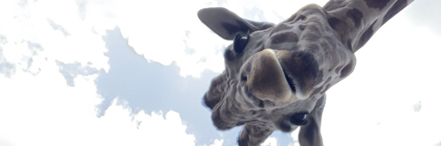 JakeMannix's profile banner image