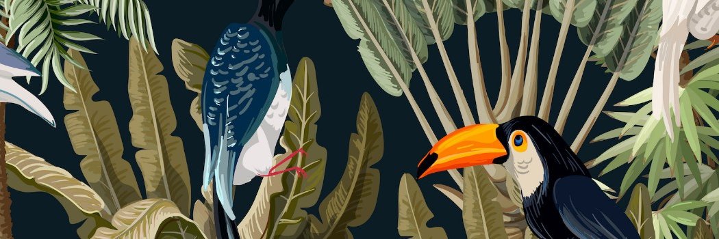 Benoit Nolens banner