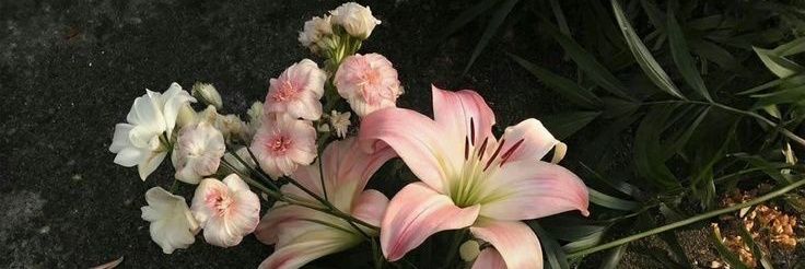 jvezuke's profile banner image