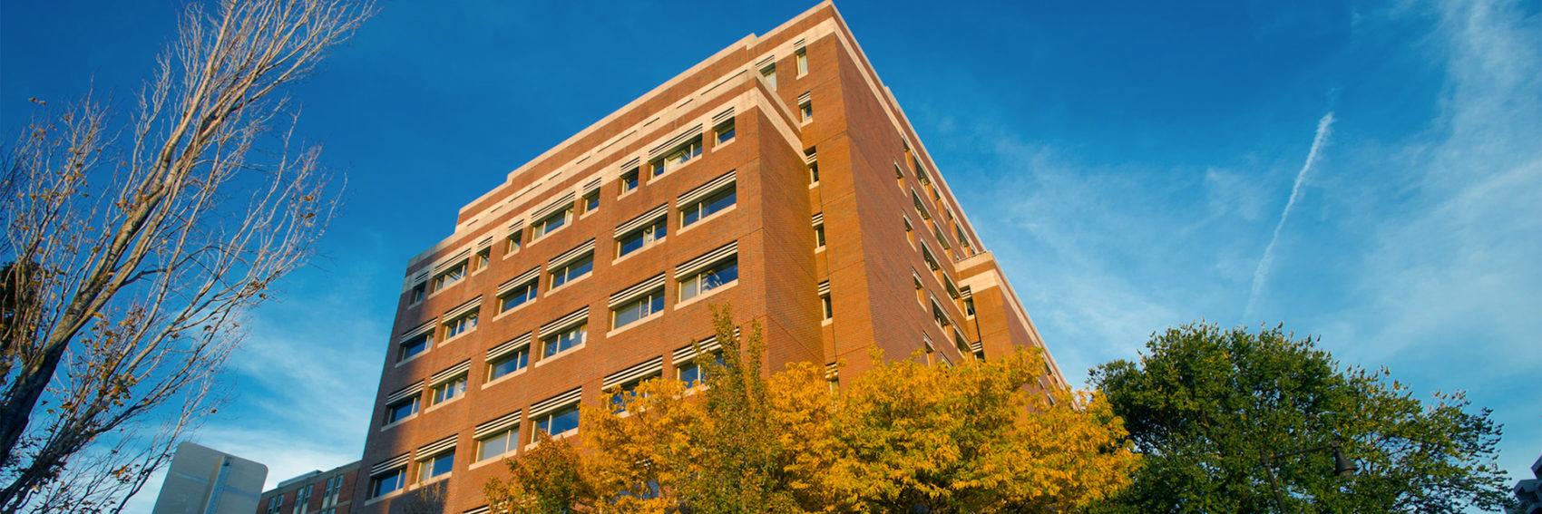 Steven Davidson banner