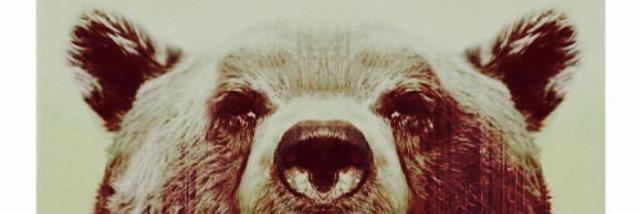 LauraDavidt's profile banner image