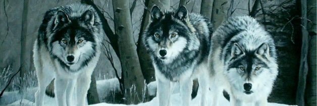 AIpha_Pack's profile banner image