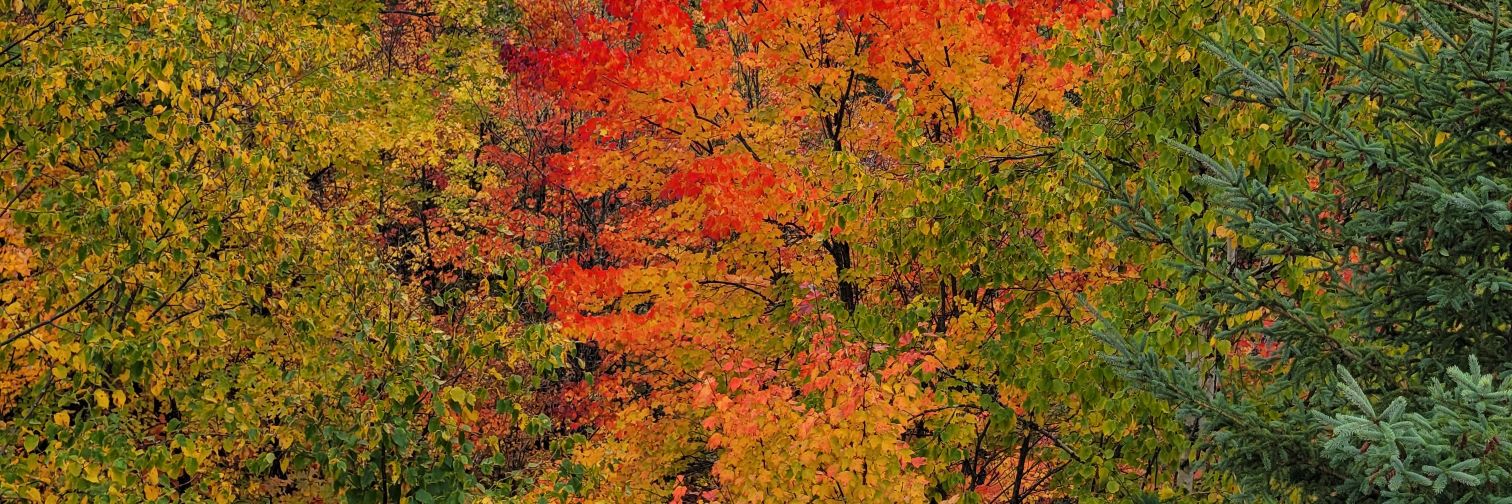 PrestonCam45's profile banner image