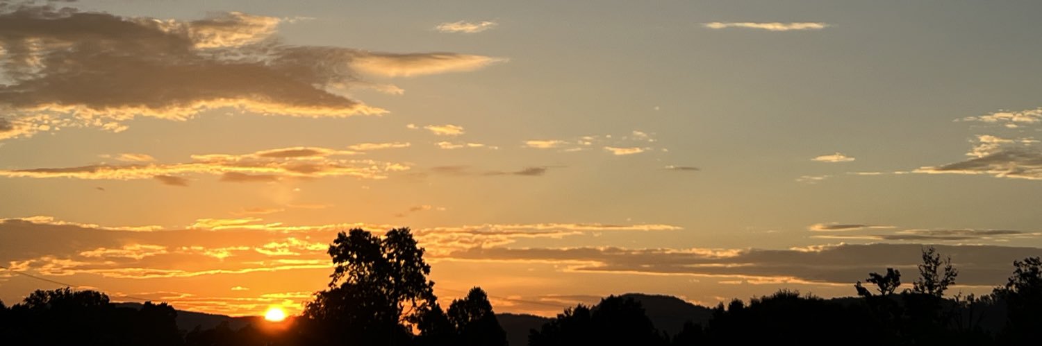 llane29's profile banner image