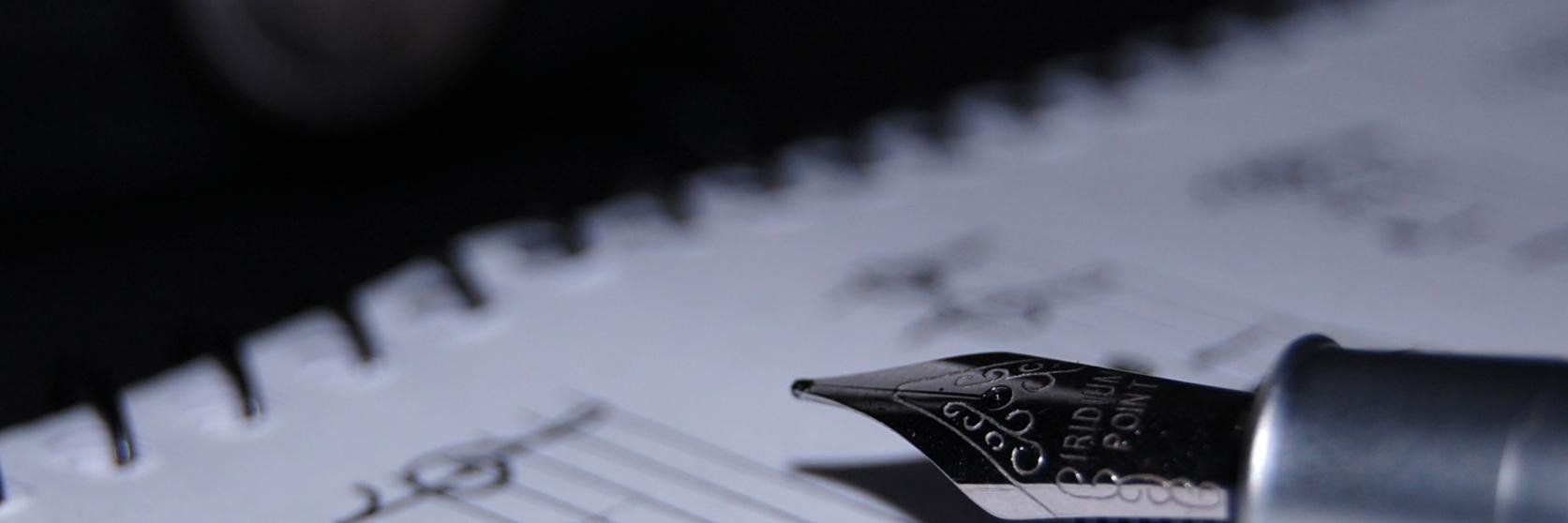 GattoPrimo's profile banner image