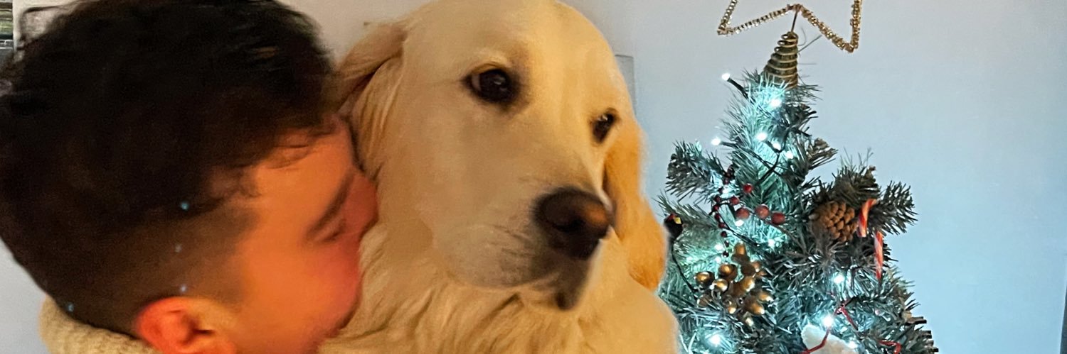 indireid's profile banner image