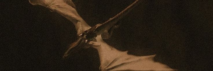 Ronaldo banner