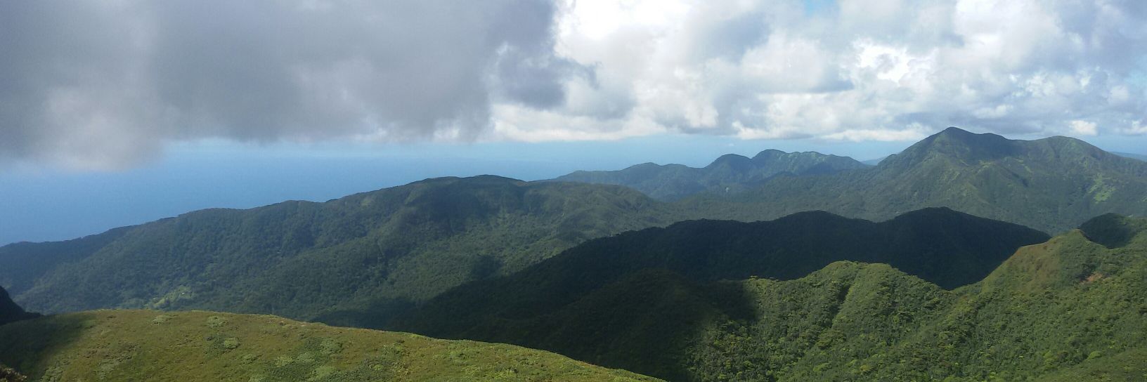Noémie Villacèque banner