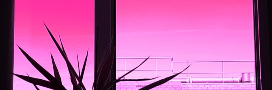 Numero__5's profile banner image