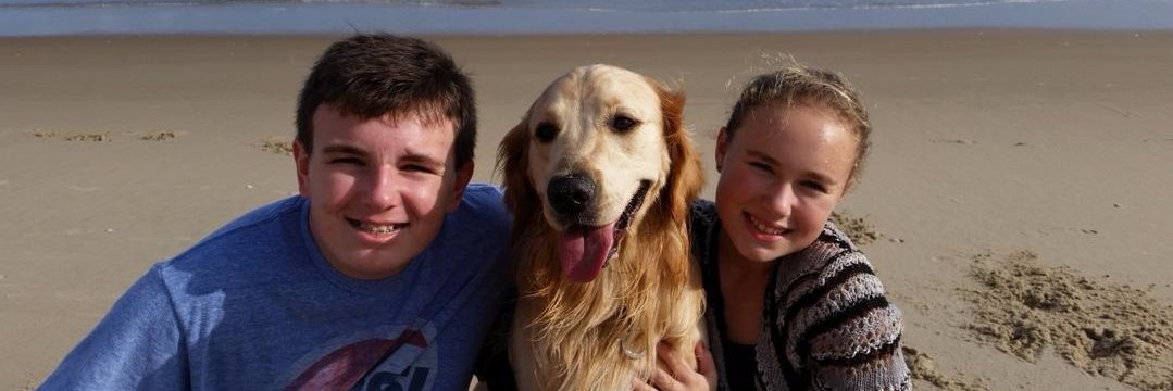 LynnWrench2's profile banner image