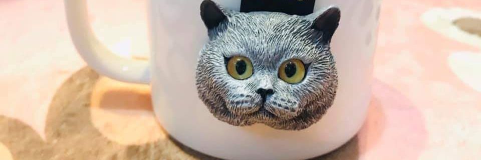 Pensookdee's profile banner image