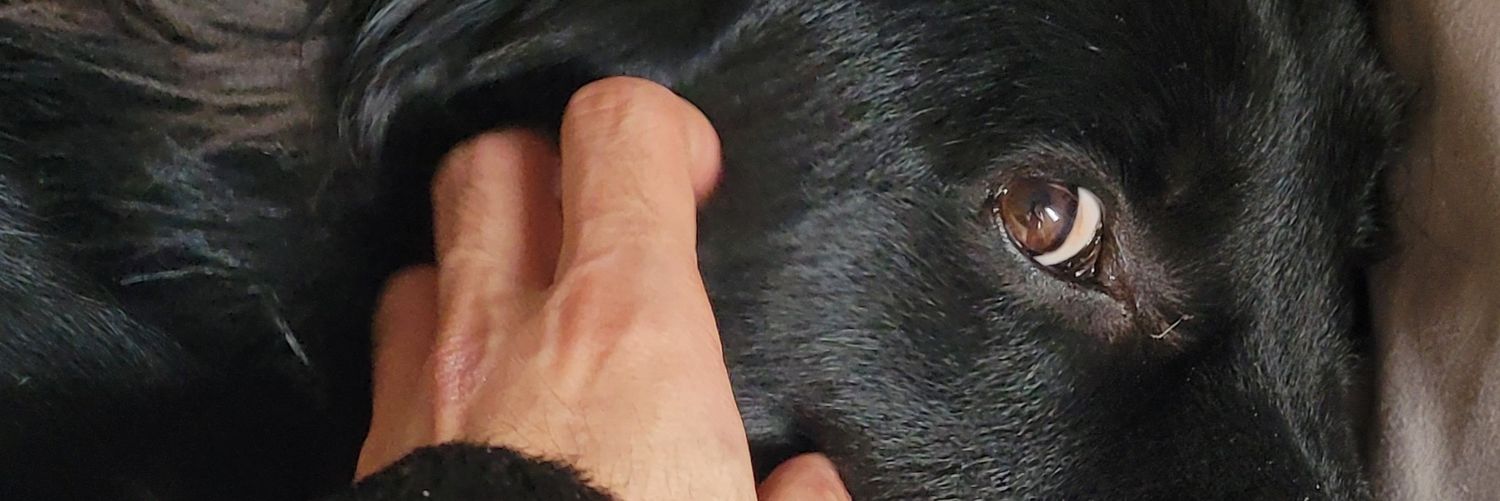 EnlightedKidd's profile banner image
