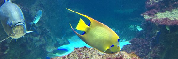 florian_grebien Profile Banner