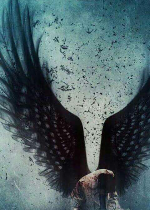 João Felipe Pereira banner