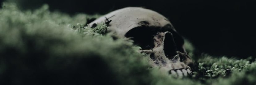 aiedalil's profile banner image