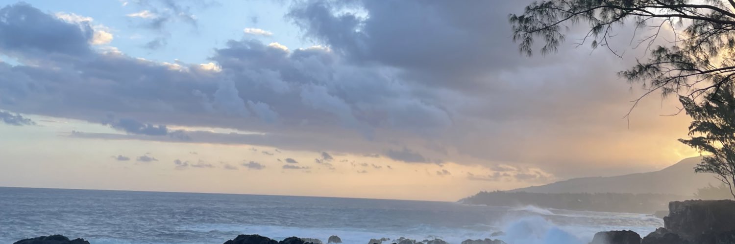 dellllphine's profile banner image