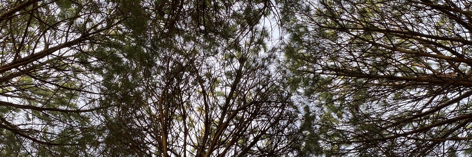 gekesee's profile banner image