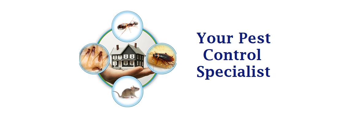 ATECPEST's profile banner image